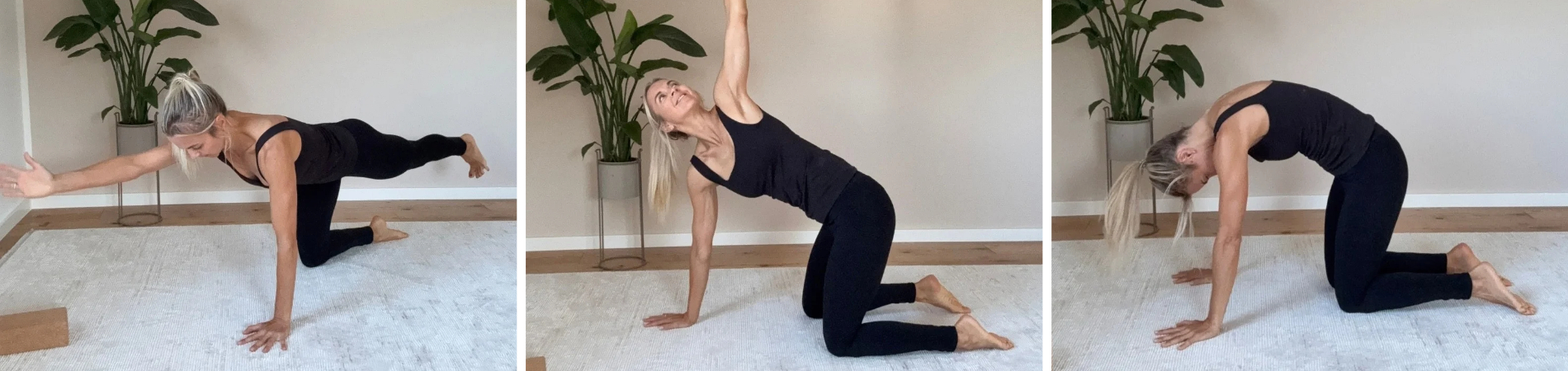 Drei Bilder zeigen eine Frau bei Yoga-Übungen auf einer Matte: Bird Dog, seitliche Drehung und Katzenbuckel.